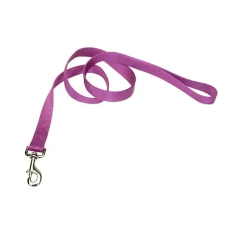 Co90608 6‘ Single-ply Nylon Dog Leash In Orchid Color