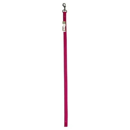 Coastal Nylon Single Lead 1inx6ft Packf