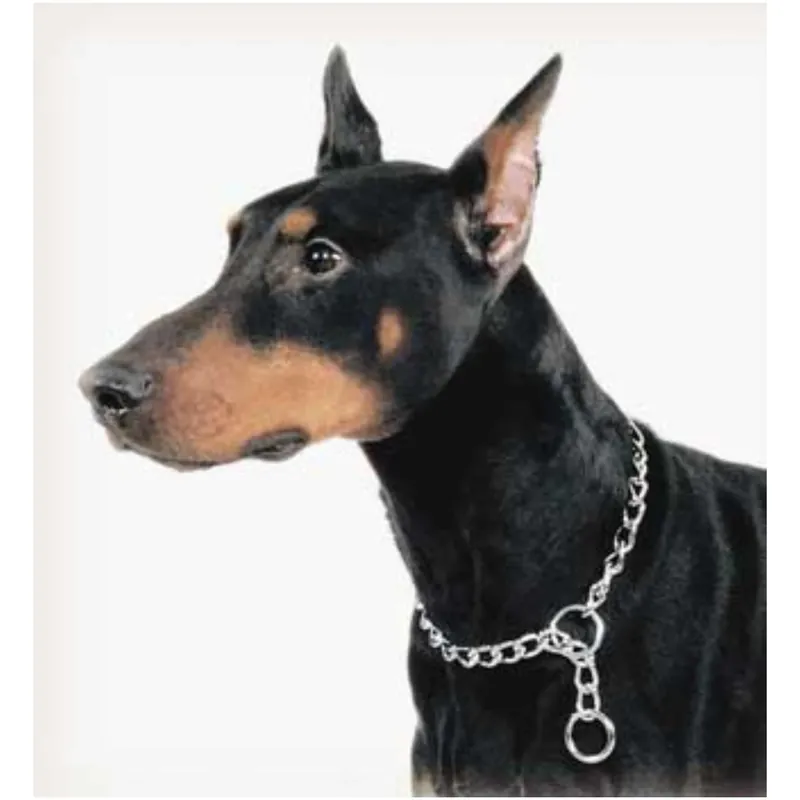 Coastal Titan Heavy Chain Choke Collar 20 Inch 3mm Link For Dog Training
