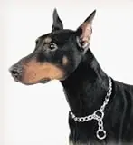 Coastal Titan Chain Choke Collar X Heavy 26" 4mm Nickel Plated
