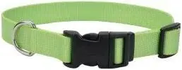 12 Inch Lime Tuff Nylon Adjustable Dog Collar, Model Co63018