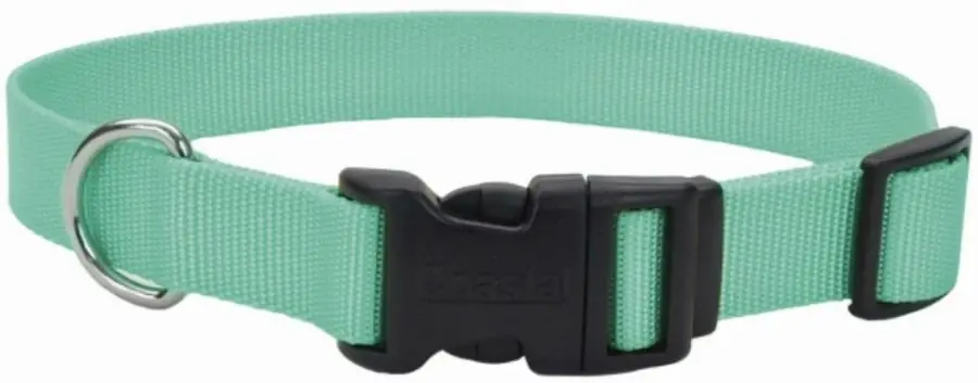6301tel Teal Nylon Tuff Dog Collar 8-12 X 0.375 In. With Plastic Buckle