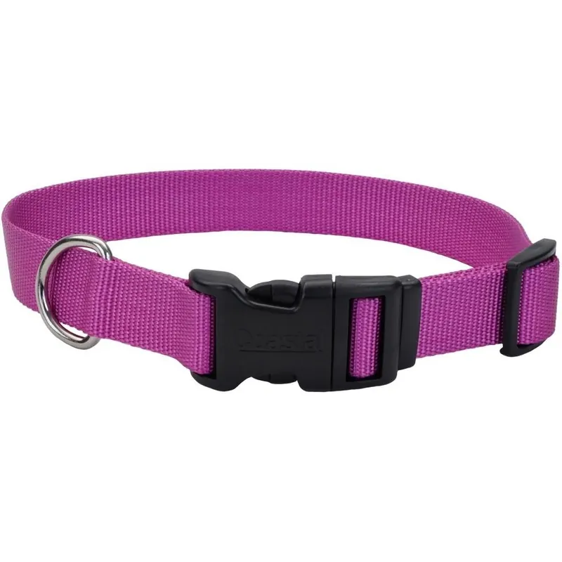 Tuff Buckle Adjustable Nylon Dog Collar - Orchid - 5/8" Width, Neck Size 10" To 14"
