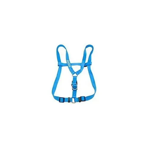 Small Personalized Harness In Blue Lagoon For Dogs