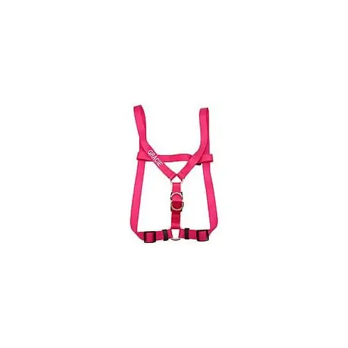 Small Personalized Harness Flamingo Pink Adjustable Dog Harness