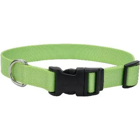 Coastal Tuff Buckle Adjustable Nylon Dog Collar - Lime - 0.75 In. Width, 14-20 In. Neck Size
