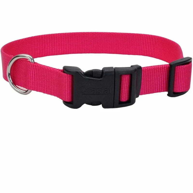 Adjustable Nylon Dog Collar Large 1 Inch Width