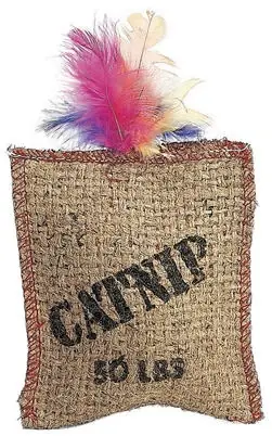 Jute & Feather Sack Cat Toy With Catnip