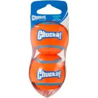 Chuckit! Tennis Ball, Small, Pack Of 2, Orange