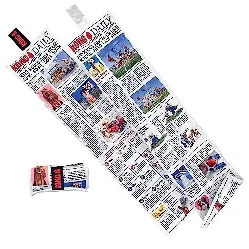 Daily Newspaper Toy - X-large Size For Dogs