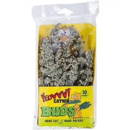 Catnip Buds Hand Packed 10 Grams For Cats