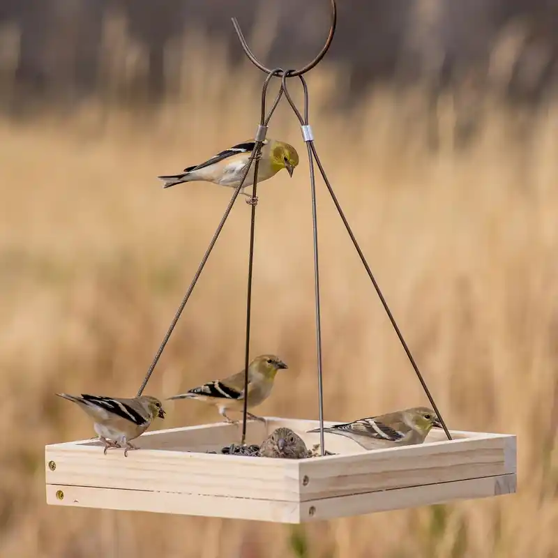 Perky-pet Wild Bird 1.6 Lb Wood Hanging Tray Bird Feeder With 1 Port