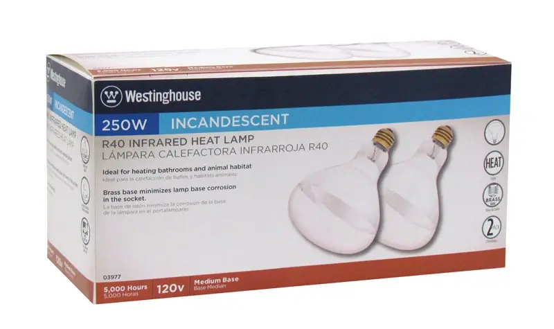 250 W R40 Heat Lamp Incandescent Light Bulb Medium Base Clear 2 Pk