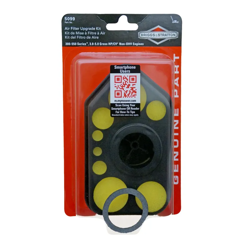 Air Filter Assembly Kit, Foam, Horizontal Shaft