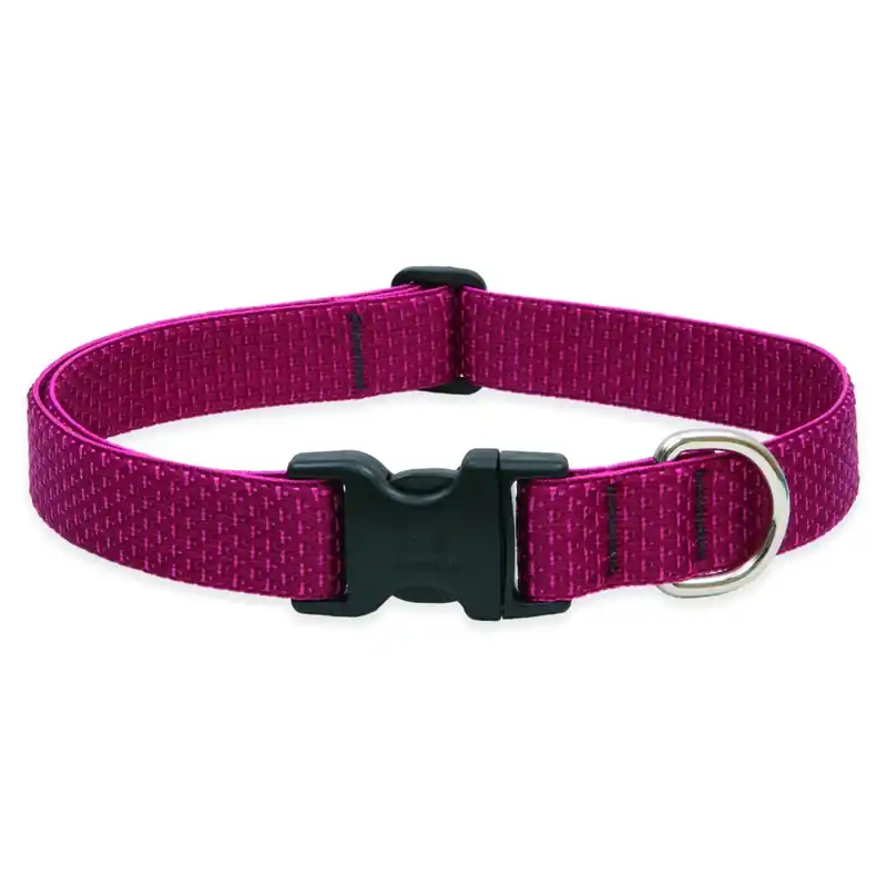 Eco Dog Collar, Adjustable, Berry, 1 X 16 To 28-in.