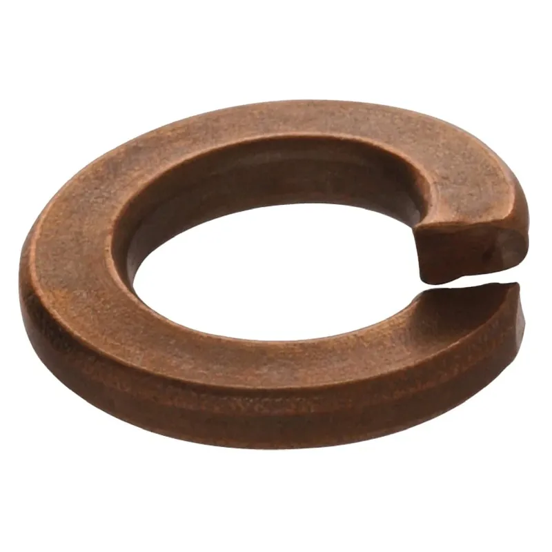 50-count 6 Standard (sae) Split Lock Washers