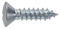 Oval Phillips Head Sheet Metal Screw 8 X 1/2 Inch - Automotive Trim
