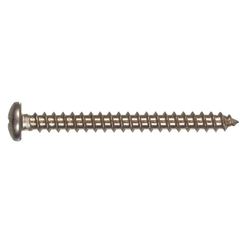  10 2 In. Phillips Pan-head Sheet Metal Screws (8-pack)
