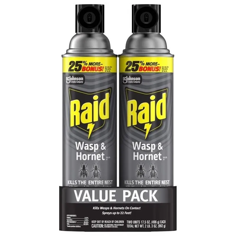 Outdoor Wasp & Hornet Spray – 17.5 oz Fast‑acting Aerosol
