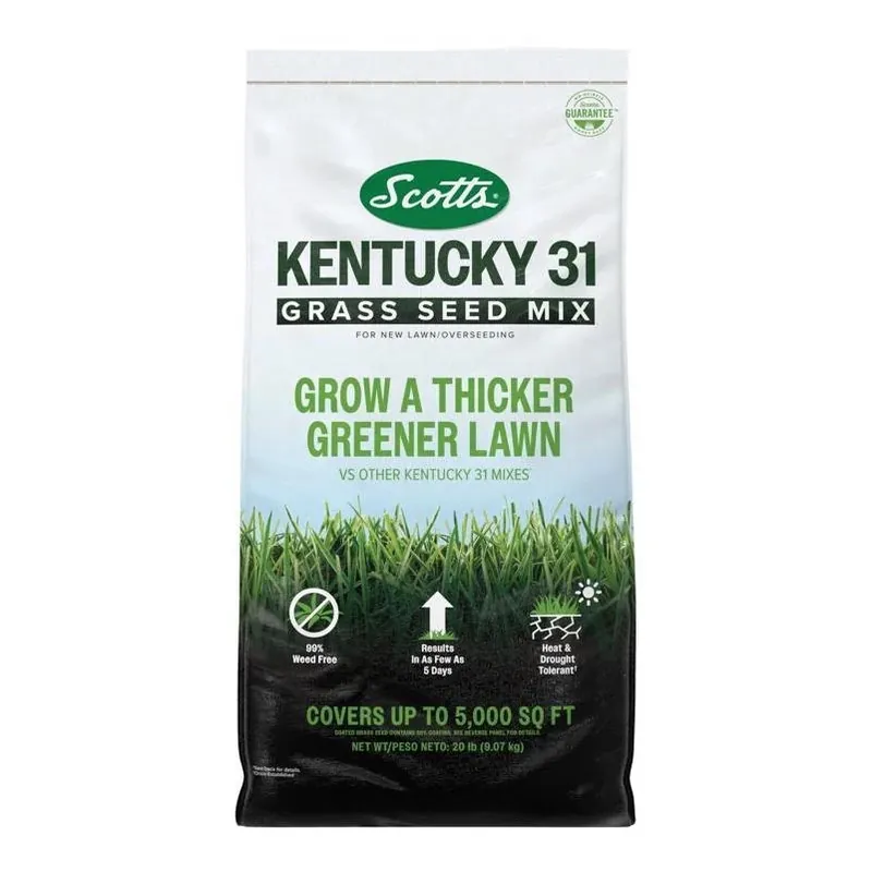 Scotts Kentucky 31 Premium Lawn Seed – 20 lb Full‑sun Mix