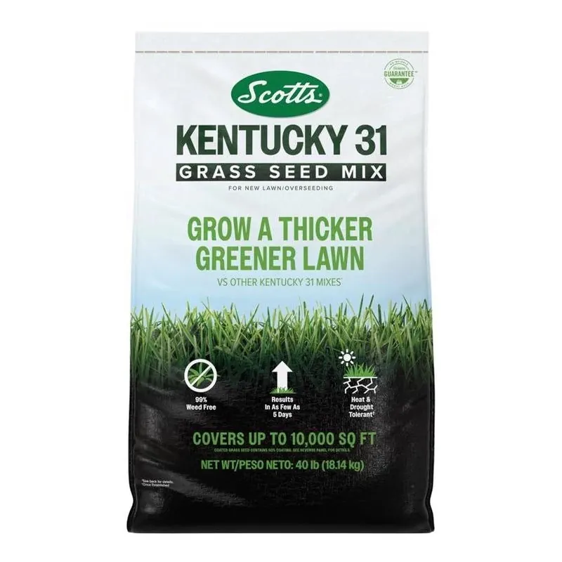 Scotts Kentucky 31 Premium Lawn Seed – 40 lb Full‑sun Blend