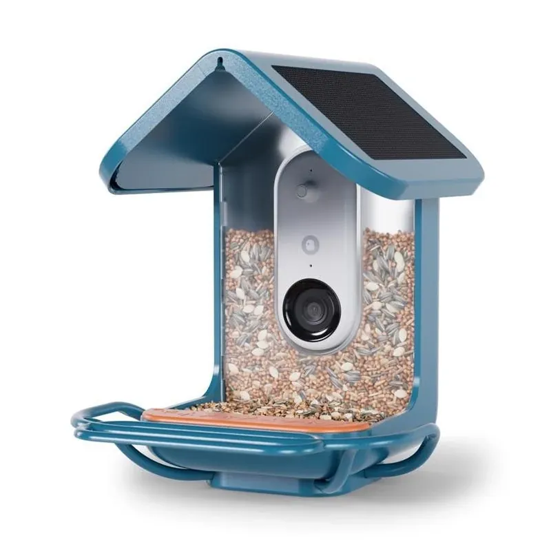 Solar Smart Bird Feeder With 4‑cup Perch Extender