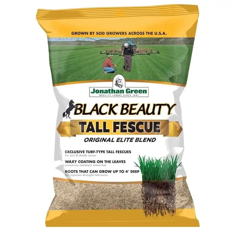 Black Beauty Tall Fescue Seed – 7 lb For Sun & Shade Lawns
