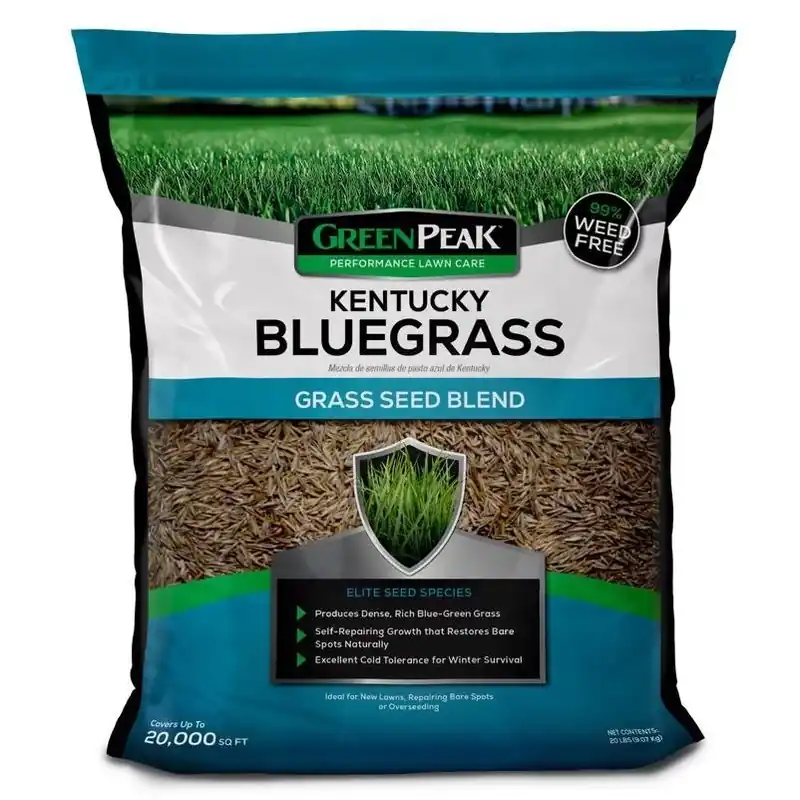 Premium Kentucky Bluegrass Seed – 20 lb For Full‑sun Lawns, Heat‑resistant, 20,000 sq ft Coverage