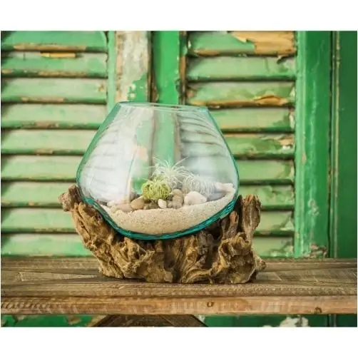 Glass Planter On Driftwood - Unique Decorative Planter For Indoor And Outdoor Use