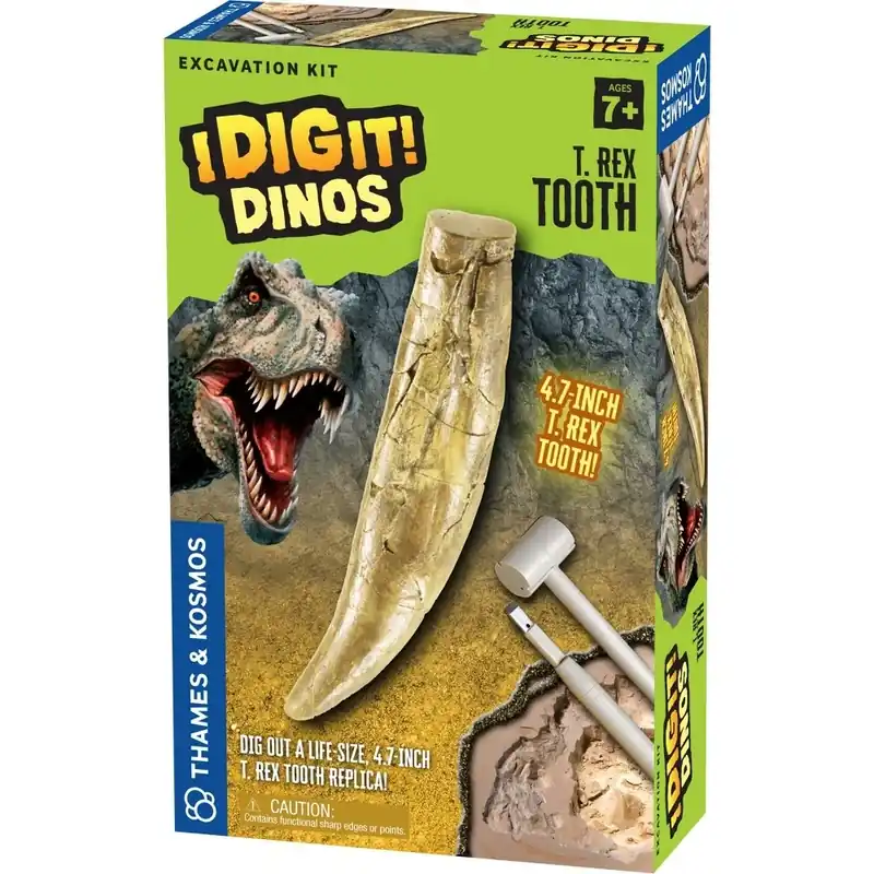 I Dig It Dinos - T Rex Tooth E
