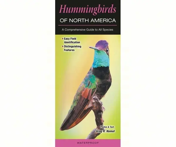 Hummingbirds Of North America A Comprehensive Guide To All Species