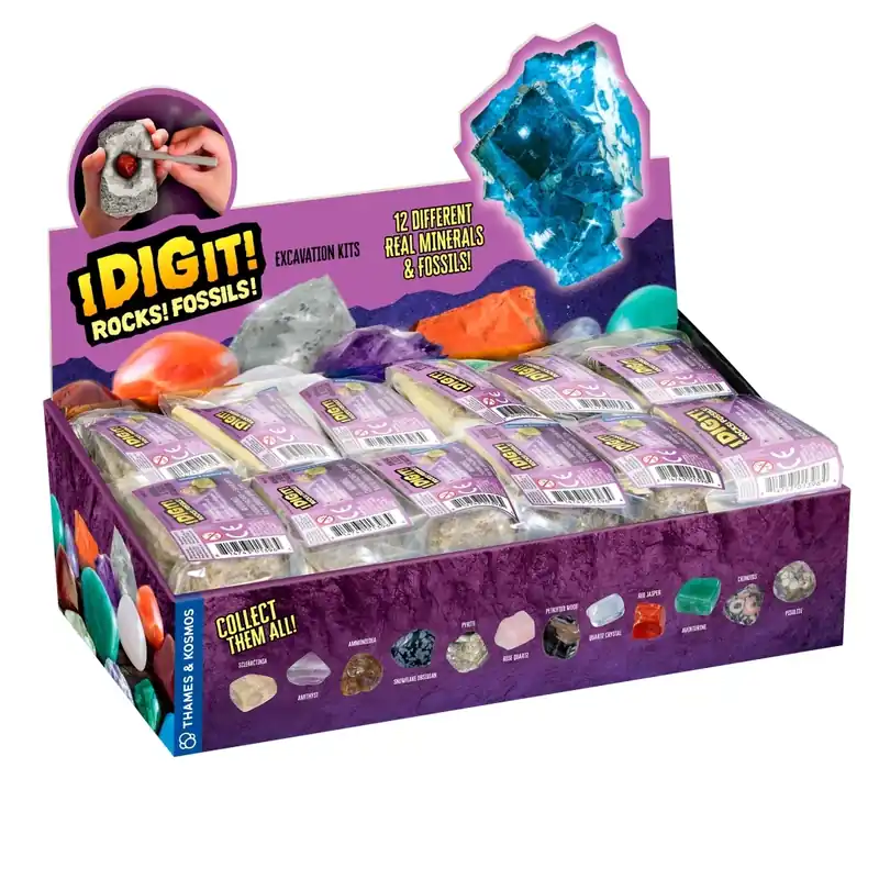 601607 I Dig It Rocks & Fossils Mini Excavation Display - 24 Units