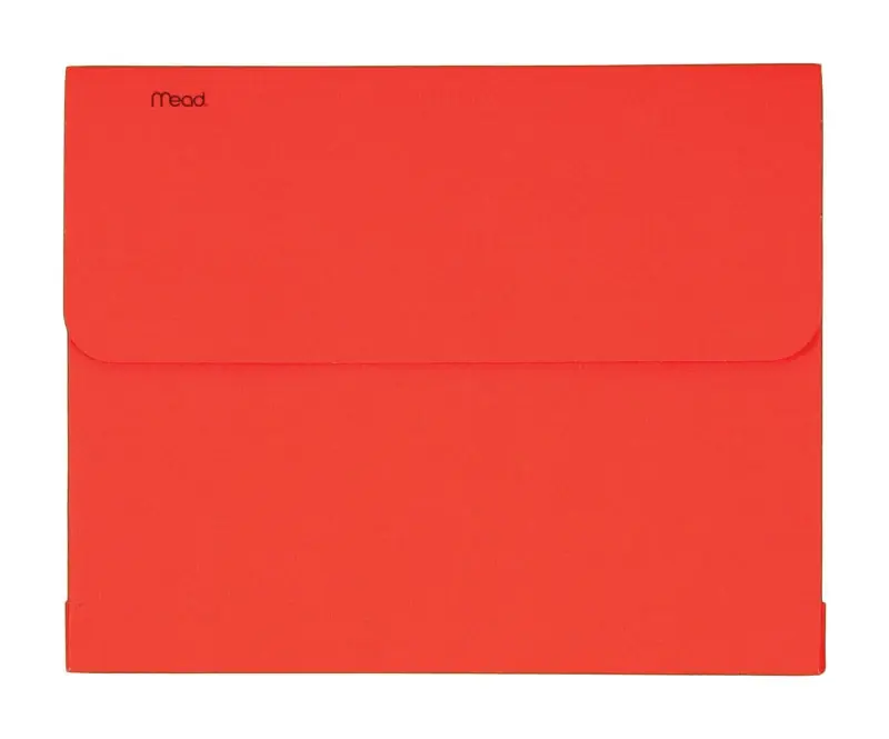 Assorted File Folder 1 Pk