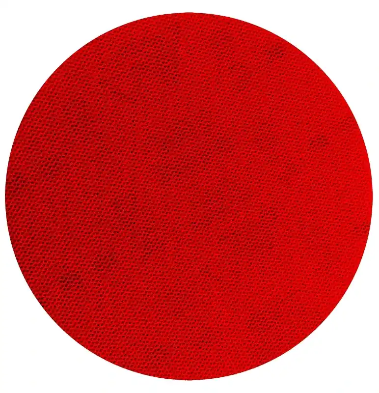 Sandnet 6 In. Ceramic Blend Hook And Lock Sanding Disc 220 Grit Ultra Fine 10 Pk