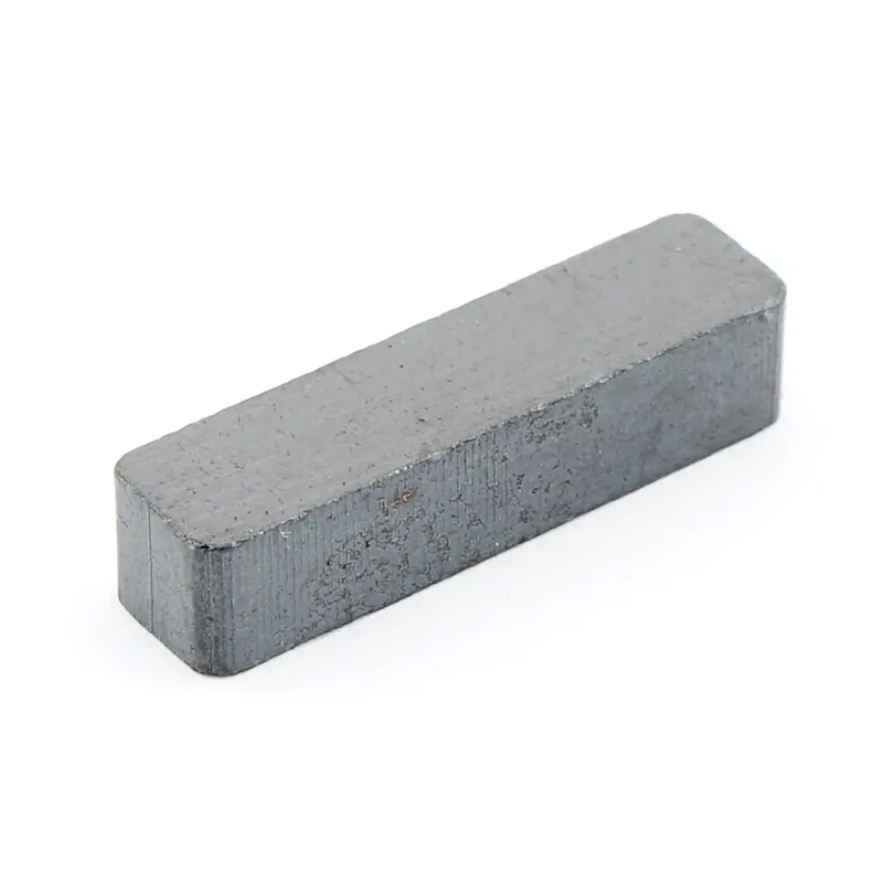 .875 In. L X .187 In. W Black Block Magnets 0.6 Lb. Pull 8 Pc