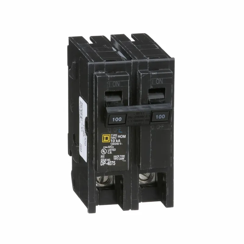 Homeline 100-amp Double-pole Circuit Breaker
