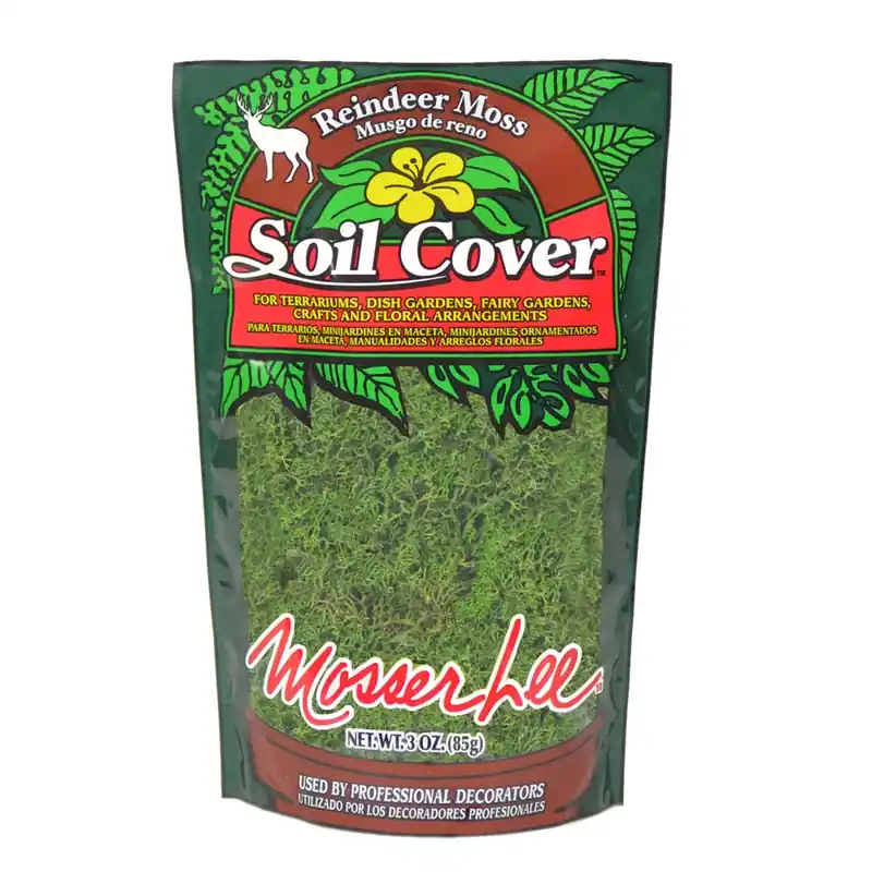Dark Green Reindeer Moss Soil Cover 3 Oz For Floral And Craft Projects