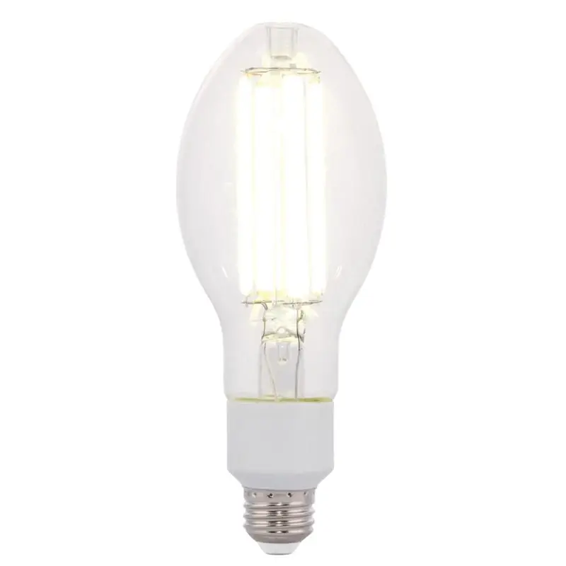Ed23.5 E26 (medium) Filament Led Bulb Daylight 200 Watt Equivalence 1 Pk