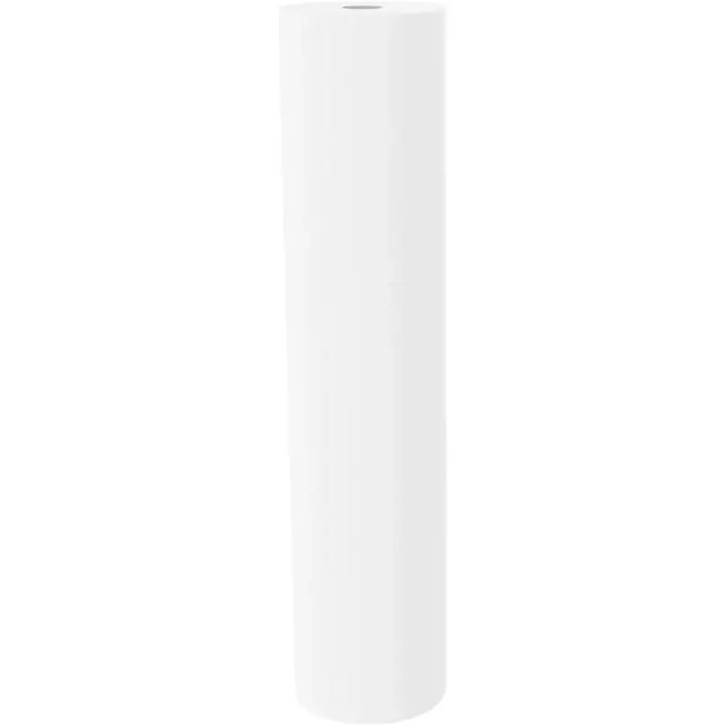 Rs18-20-sc-s18 Replacement Filter For Whole House Filtration, 20 In.