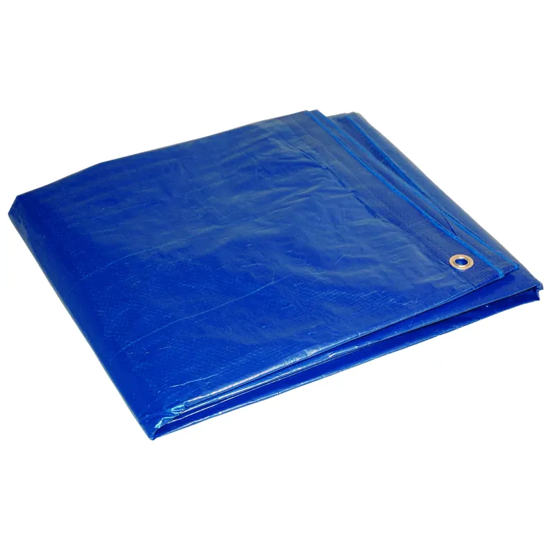 Dry Top 26 Ft. W X 40 Ft. L Medium Duty Blue Polyethylene Tarp