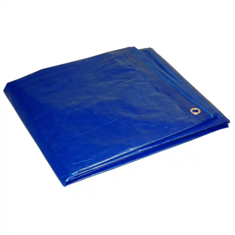 Dry Top 9 Ft. W X 12 Ft. L Medium Duty Blue Poly Tarp