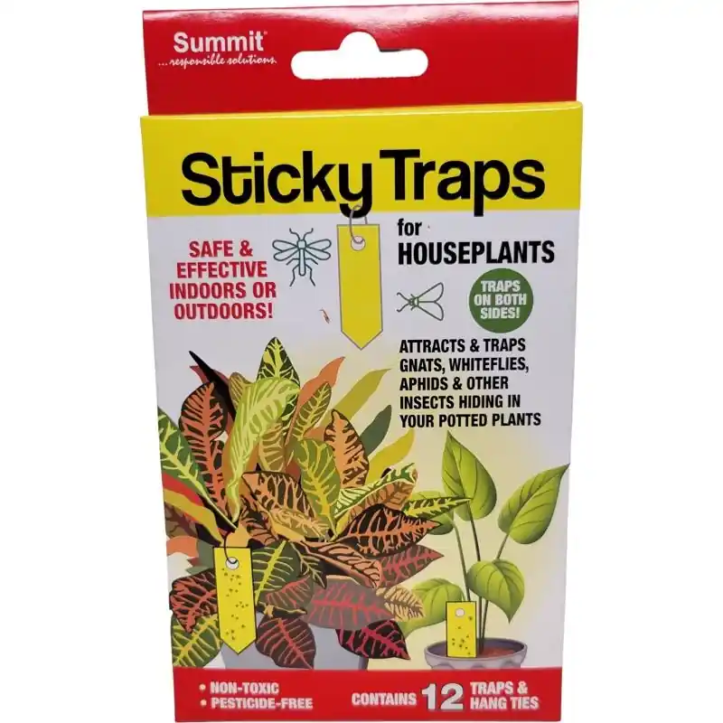 Sticky Traps For Houseplants Sticky Trap 12 Pc