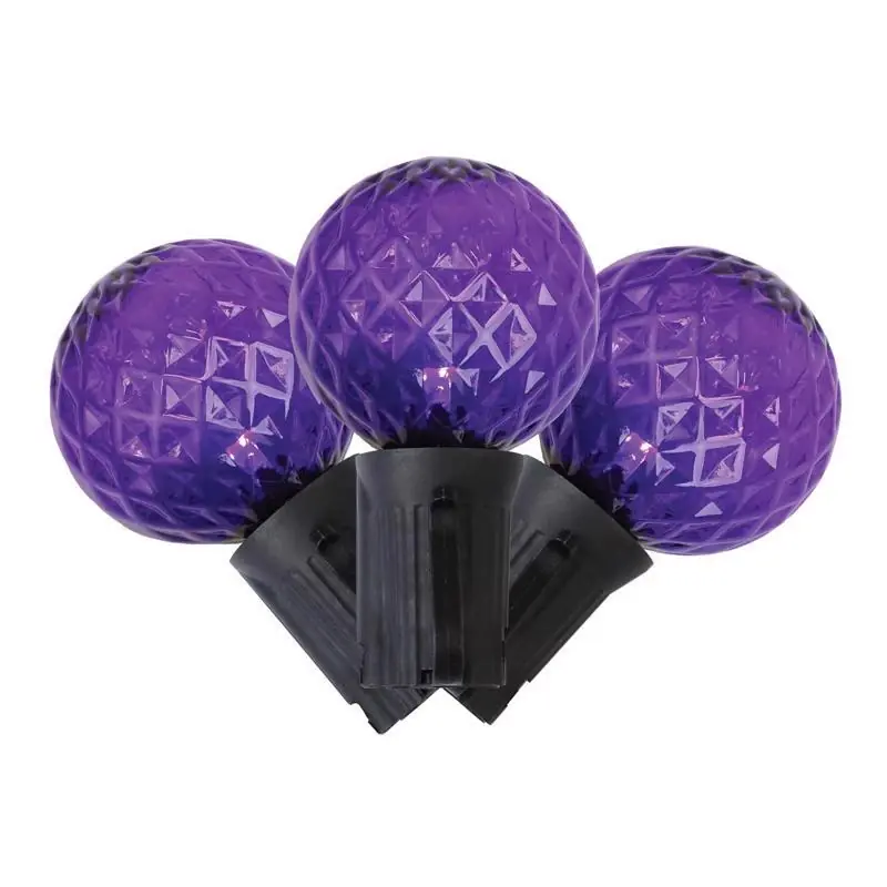 Purple 25 Count Led G40 Halloween String Lights - Plug-in