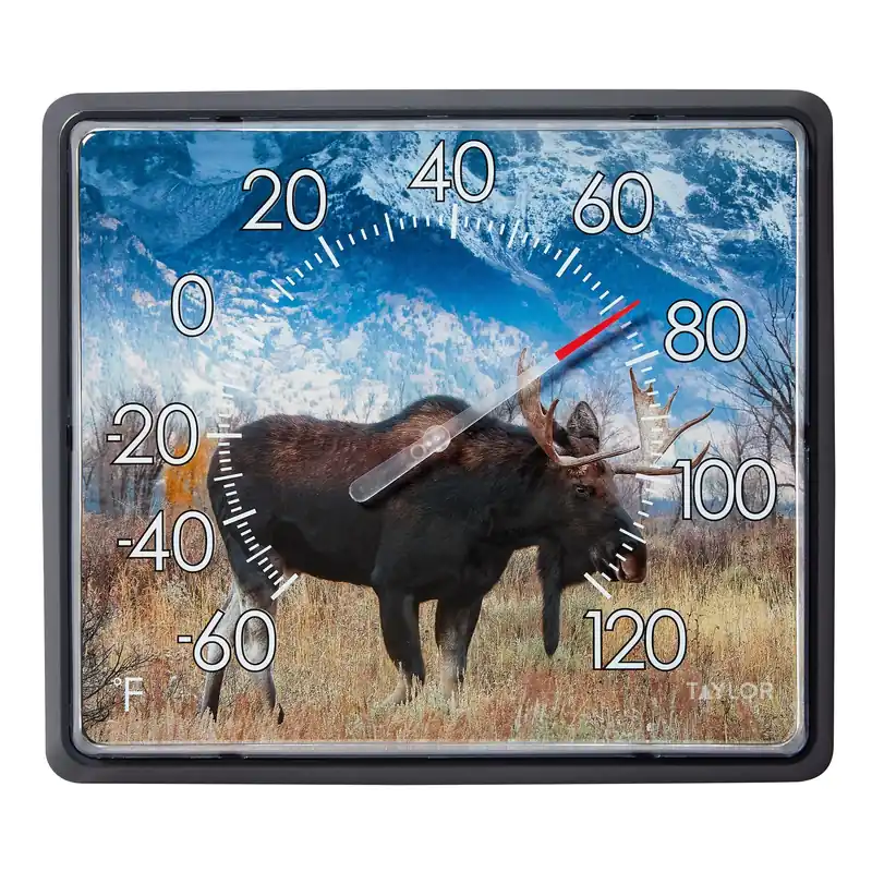 Moose Dial Thermometer Plastic Multicolored 14 In. Wall Mount