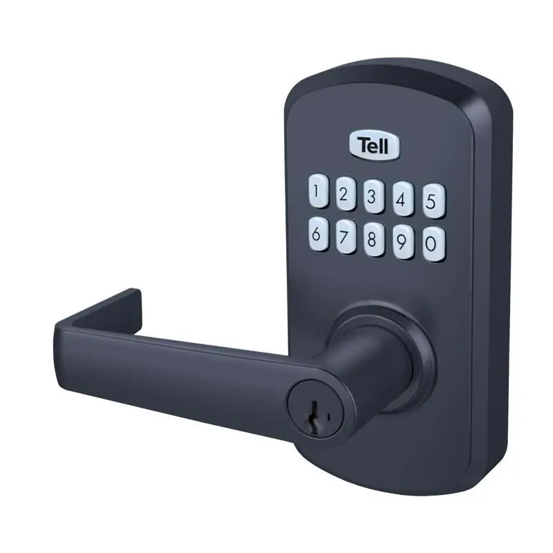 Manufacturing Matte Black Steel Electronic Keypad Entry Lock Cl103931
