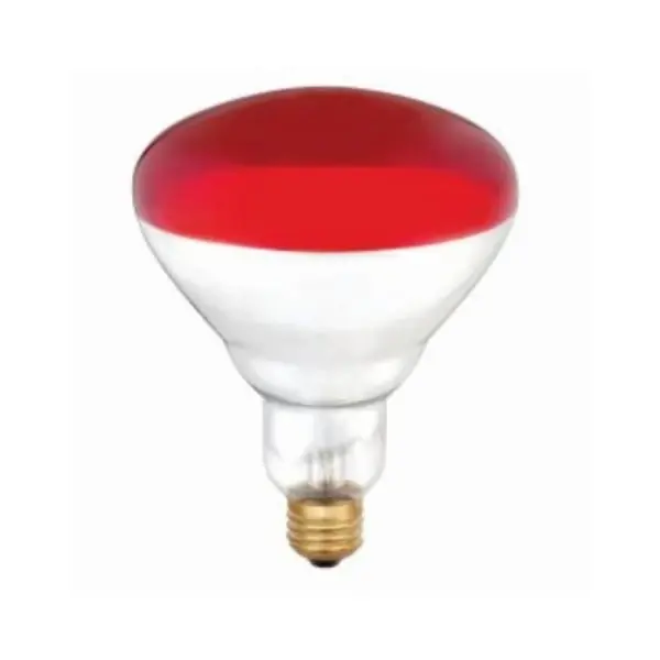 250 W R40 Heat Lamp Incandescent Bulb E26 (medium) Red 6 Pk
