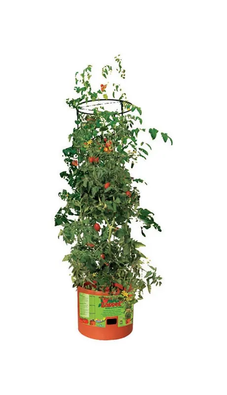 12 In. H X 14 In. W Green Plastic Tomato Cage
