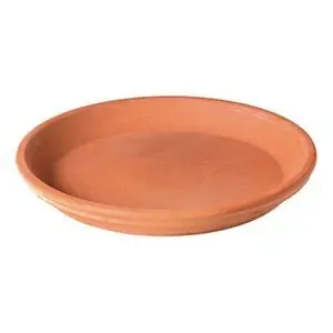 0.95 In. H X 6.19 In. W X 6.19 In. D X 6.19 In. D Clay Sottovaso Plant Saucer Terracotta