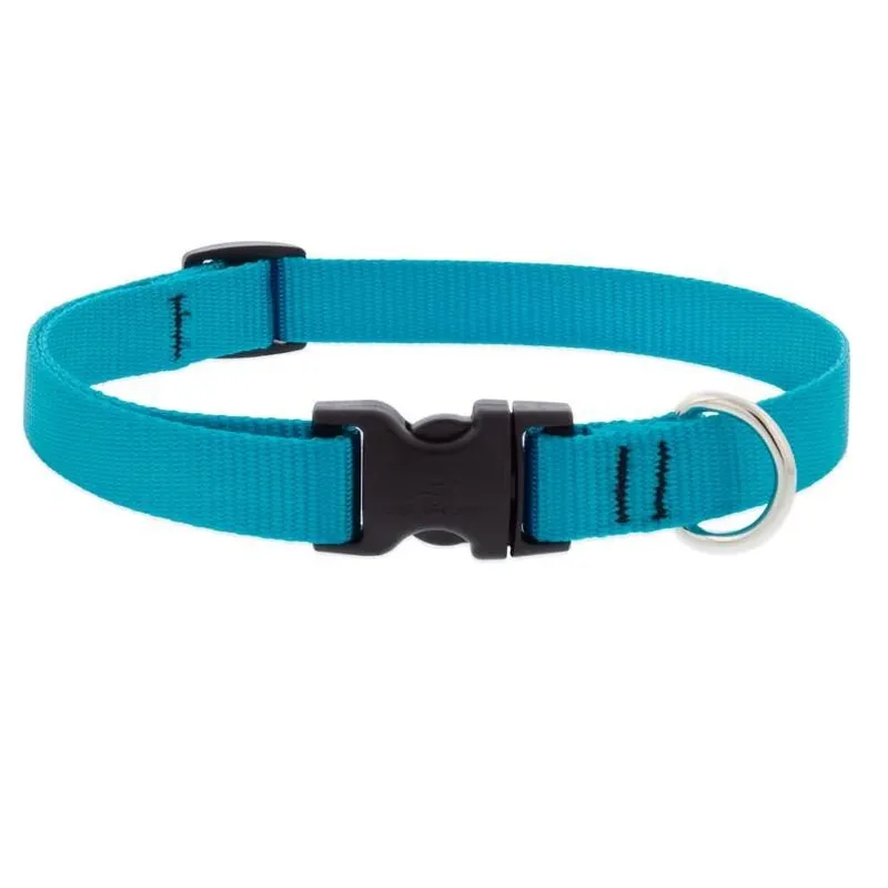 Aqua Nylon Adjustable Dog Collar – Medium (9‑14 In)