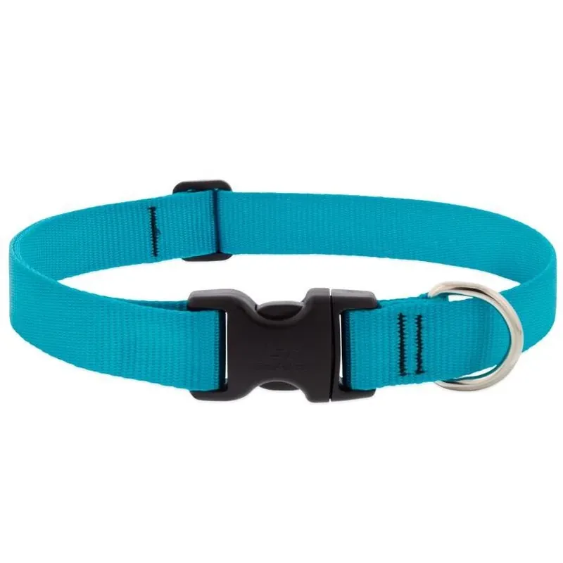 Aqua Adjustable Nylon Dog Collar – Large/xl (16‑28in)